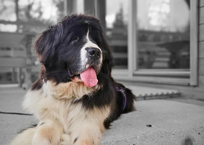 Ica - Hisica V Hribih